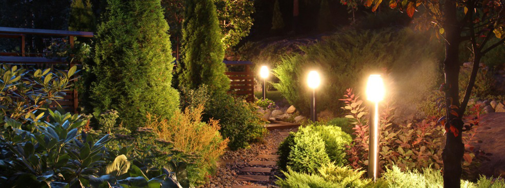 Landscape Lighting