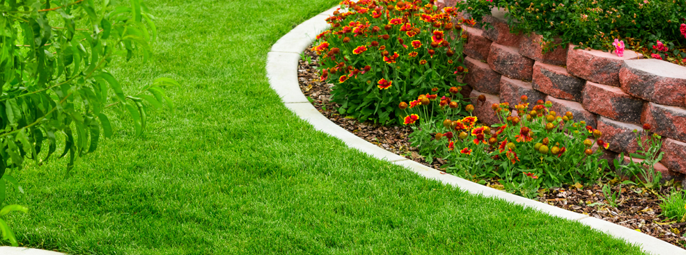 Garden Landscaping